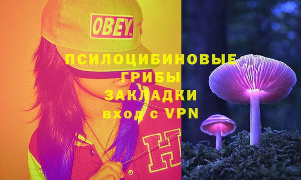 метадон Дубна