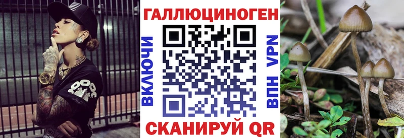 Галлюциногенные грибы MAGIC MUSHROOMS  цены   Жуковка 